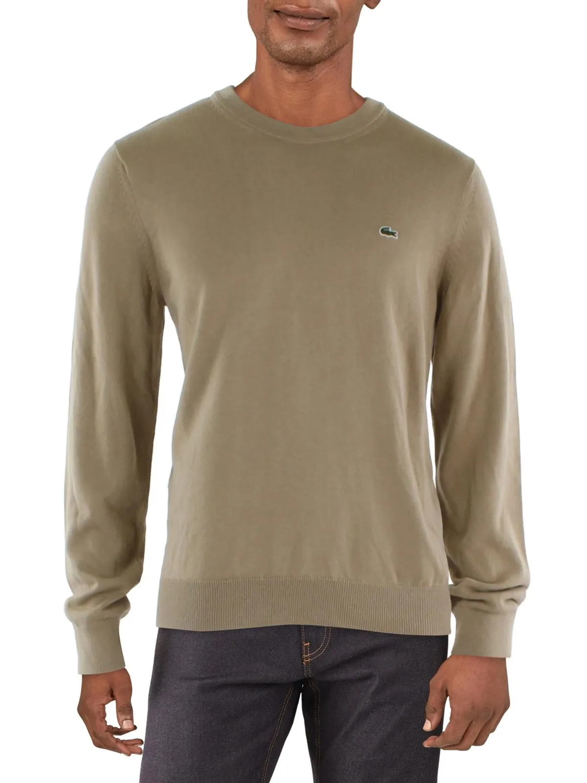 Mens Crewneck Logo Crewneck Sweater